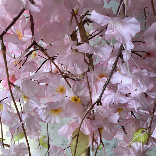 光触媒 人工観葉植物 ウォールグリーン フェイクグリーン 桜さくら@g