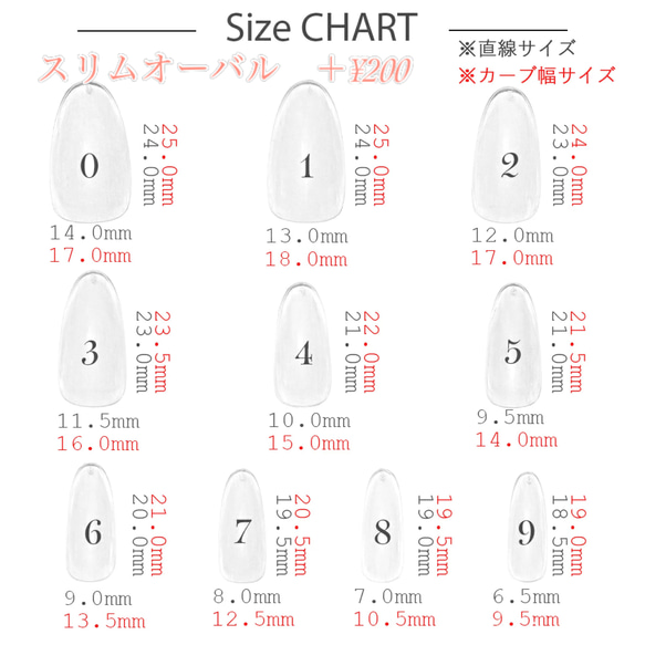  第7張的照片