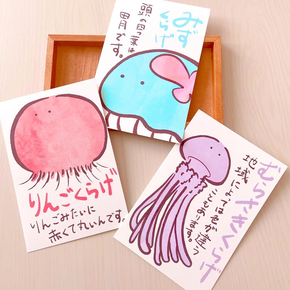 ゆるかわいいクラゲのイラスト！】ポストカード3枚セット ポストカード