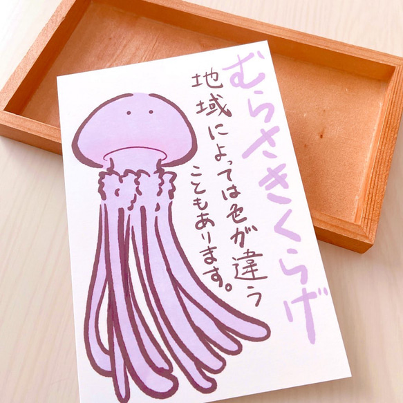 【ゆるかわいいクラゲのイラスト！】ポストカード3枚セット 6枚目の画像