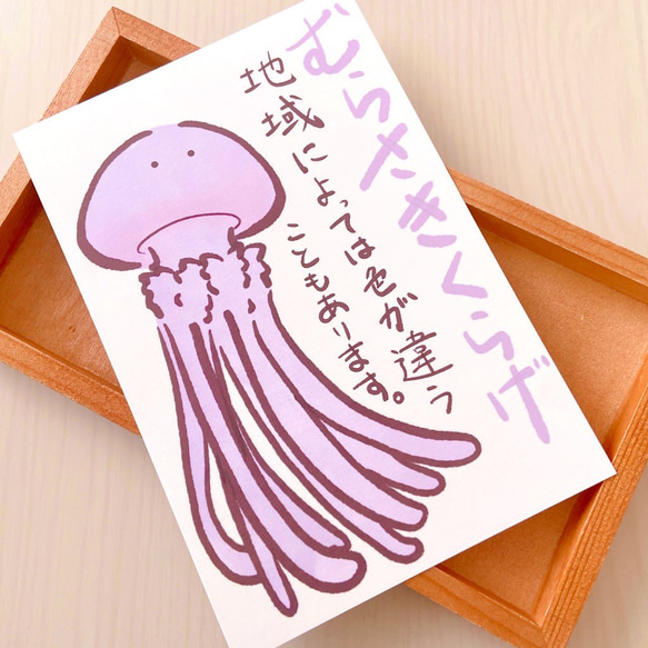 【ゆるかわいいクラゲのイラスト！】ポストカード3枚セット 7枚目の画像