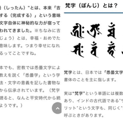 亥戌子✨サムハラ✨ フトマニ図✨龍体文字✨カタカムナ✨神字✨財布✨メモリーオイル✨運✨白蛇の抜け殻✨アップ✨天赦日✨金 7枚目の画像