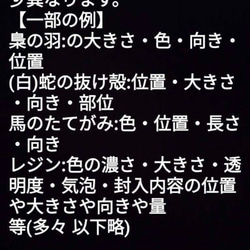 亥戌子✨サムハラ✨ フトマニ図✨龍体文字✨カタカムナ✨神字✨財布✨メモリーオイル✨運✨白蛇の抜け殻✨アップ✨天赦日✨金 10枚目の画像