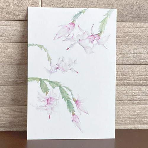 ポストカード 鉛筆とアクリル絵の具で描いたデンマークカクタスの絵