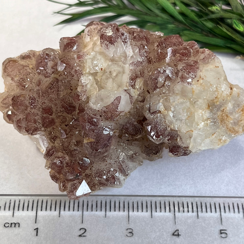 ファントム✿*:・ストロベリー クォーツ ファイヤー クラスター 原石