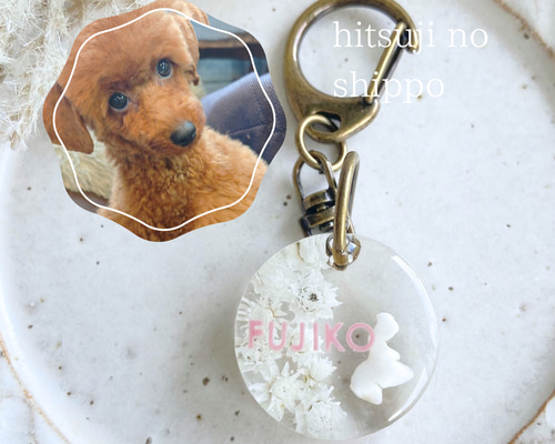 うちの子素材確認用 うちの子素材】『花』名入れ可 ペットの毛・ヒゲ・羽・爪・乳歯・遺骨