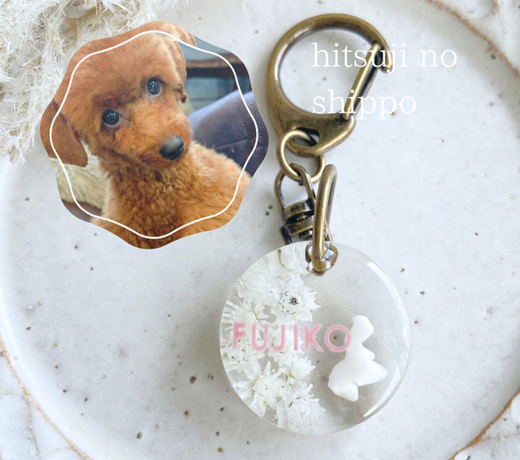 うちの子素材】『花』名入れ可 ペットの毛・ヒゲ・羽・爪・乳歯・遺骨