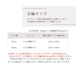 【d202】パラコード×BioThaneベルト首輪 6枚目の画像