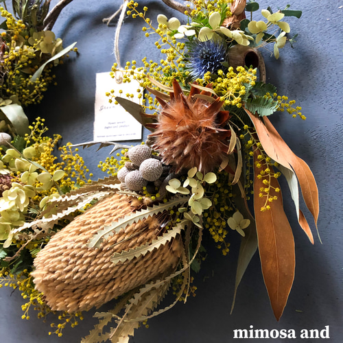専用＊ネイティブフラワー3種とミモザのドライフラワーリース 専用＊ネイティブフラワー3種とミモザのドライフラワーリース