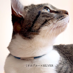 《ブラウン》軽いレザーチョーカー　猫　首輪　名入れ　迷子札　ねこ　本革 10枚目の画像
