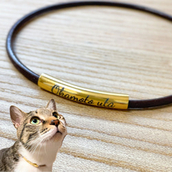 《ブラウン》軽いレザーチョーカー　猫　首輪　名入れ　迷子札　ねこ　本革 1枚目の画像