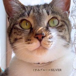 《ブラウン》軽いレザーチョーカー　猫　首輪　名入れ　迷子札　ねこ　本革 12枚目の画像
