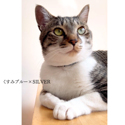 《ブラウン》軽いレザーチョーカー　猫　首輪　名入れ　迷子札　ねこ　本革 11枚目の画像