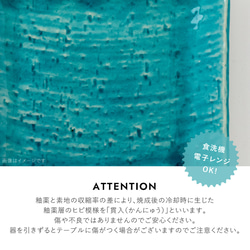 ターコイズブルー 日本製 瀬戸焼 食器 日本製 Made in Japan 食器 器 うつわ 暮らし 食卓 和食器 皿 5枚目の画像