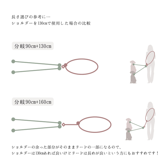 【g51】二頭引きマルチショルダーリードセットS ロープリード ハンズフリーリード 多頭引き 4枚目の画像