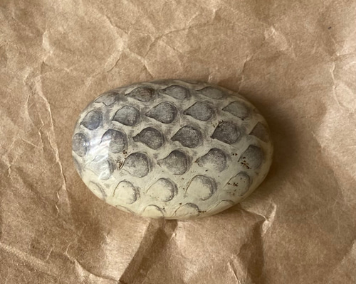 巳年◎本物のヘビの抜け殻でできた帯留め◎ 帯留め parakeet 通販