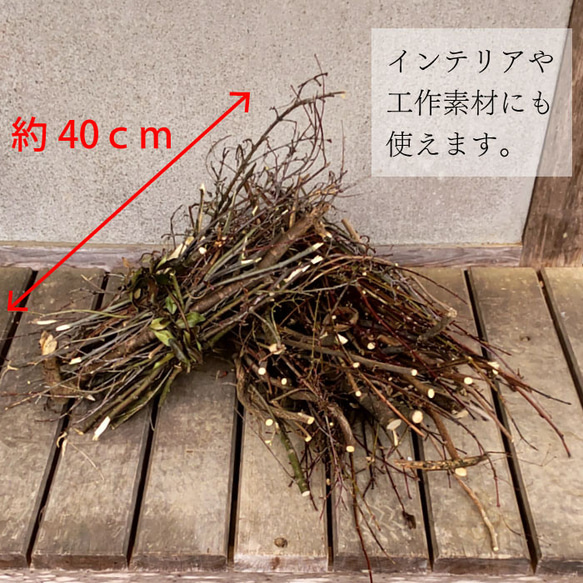 細い枝の薪500ｇ 3枚目の画像