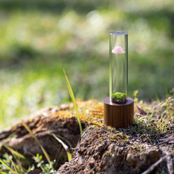 きのこの照明　サクラガリ（ツヤ1本） 3枚目の画像