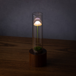 きのこの照明　サクラガリ（ツヤ1本） 8枚目の画像