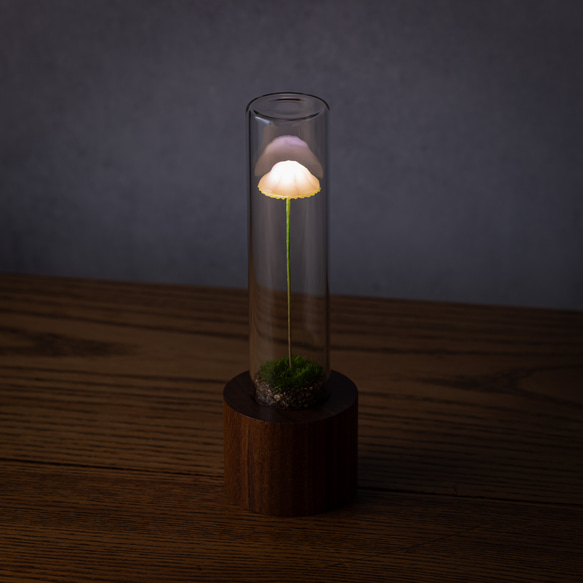 きのこの照明　サクラガリ（ツヤ1本） 8枚目の画像