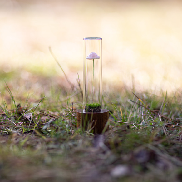 きのこの照明　サクラガリ（ツヤ1本） 4枚目の画像