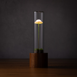 きのこの照明　サクラガリ（ツヤ1本） 2枚目の画像