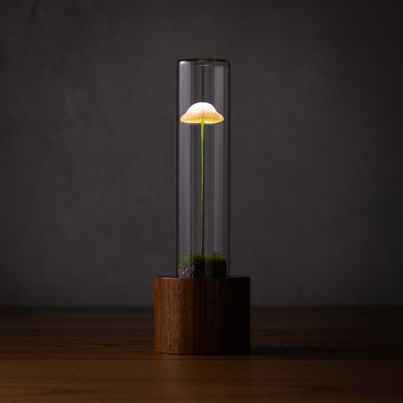 きのこの照明　サクラガリ（ツヤ1本） 2枚目の画像