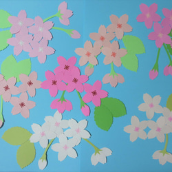 さくら（貼り合わせver.）８輪（色を選べる）〈春の壁面〉　画用紙　壁面飾り　保育園・幼稚園・学校・図書館その他施設　 1枚目の画像