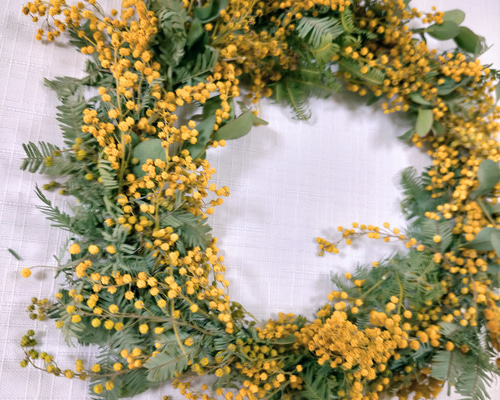 ミモザとユーカリのドライフラワーリースM サイズ 期間限定オーダー