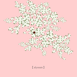 【大人っぽいアリッサムの花】カラー展開　インテリア アートポスター Étape71 20枚目の画像