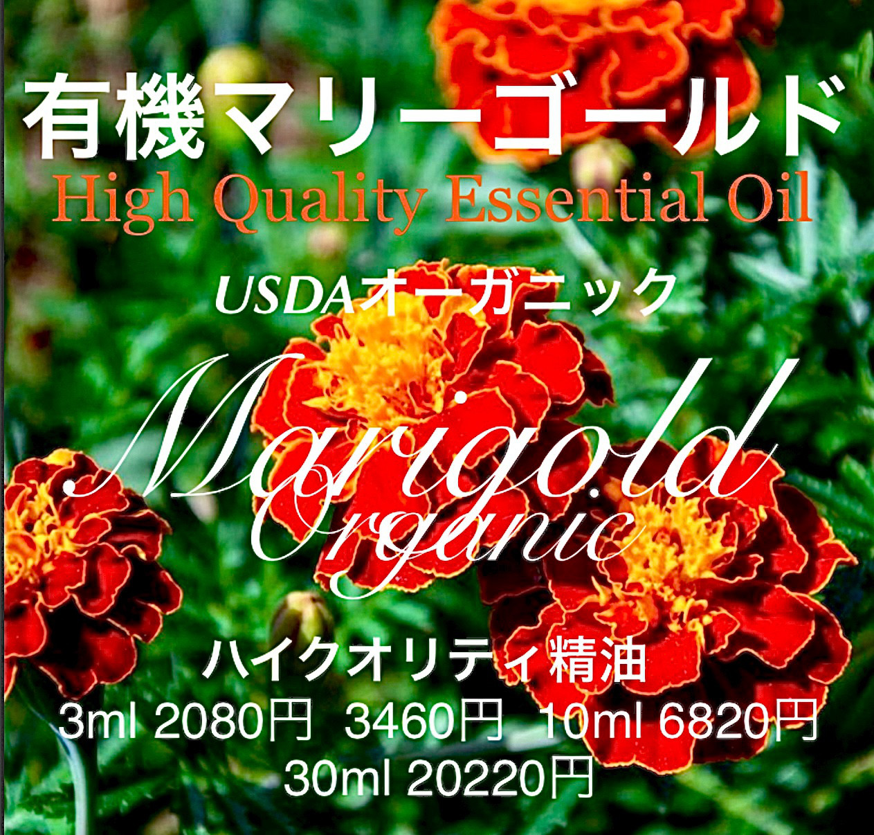 【甘い香り】有機マリーゴールド精油10ml