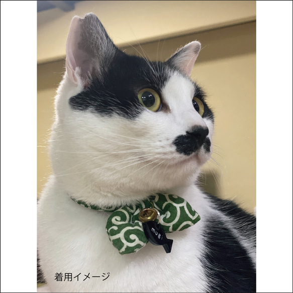 【送料無料】迷子札　犬グッズ　猫グッズ　ドックタグ　モノトーン 5枚目の画像