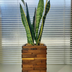 天然木　鉢カバー　ウォールナット 6枚目の画像