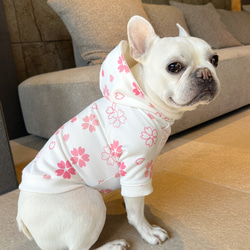 〈犬服〉うちの子ネーム刺繍入りパーカー＊桜柄＊ 3枚目の画像