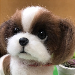 羊毛フェルト☆シーズーちゃんのフラワーリース あっけなく