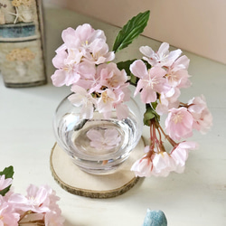 『さくら、さくら。』　桜のマジカルウォーターアレンジ シンプル 【特集掲載】 10枚目の画像