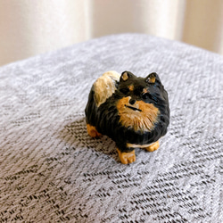 ポメラニアン　ブラックタン　ミニチュア　犬　フィギュア　置物　オブジェ 3枚目の画像