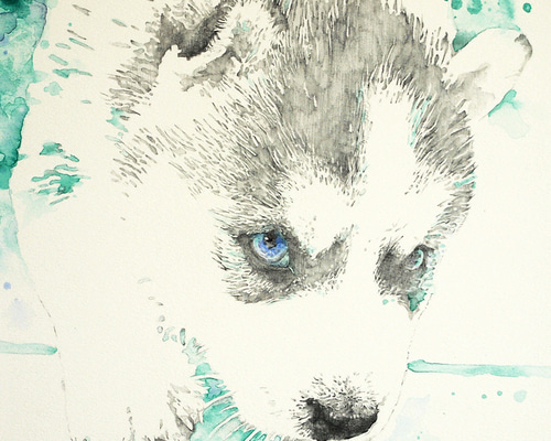 【才蔵ページ】鉛筆画 ご依頼 犬 ハスキー 手描き イラスト 2Lサイズ お 得 な 通販 サイトホビー・楽器・アート - 【才蔵様専用