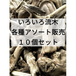 南信州産 天然流木 いろいろ流木 アソート１０個セット 【サイズMIX①】 格安まとめ売り 2枚目の画像