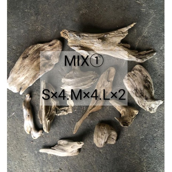 【送料無料】南信州まがり屋流木｜天然流木いろいろMIXアソート10個セット（S×4・M×4・L×2）