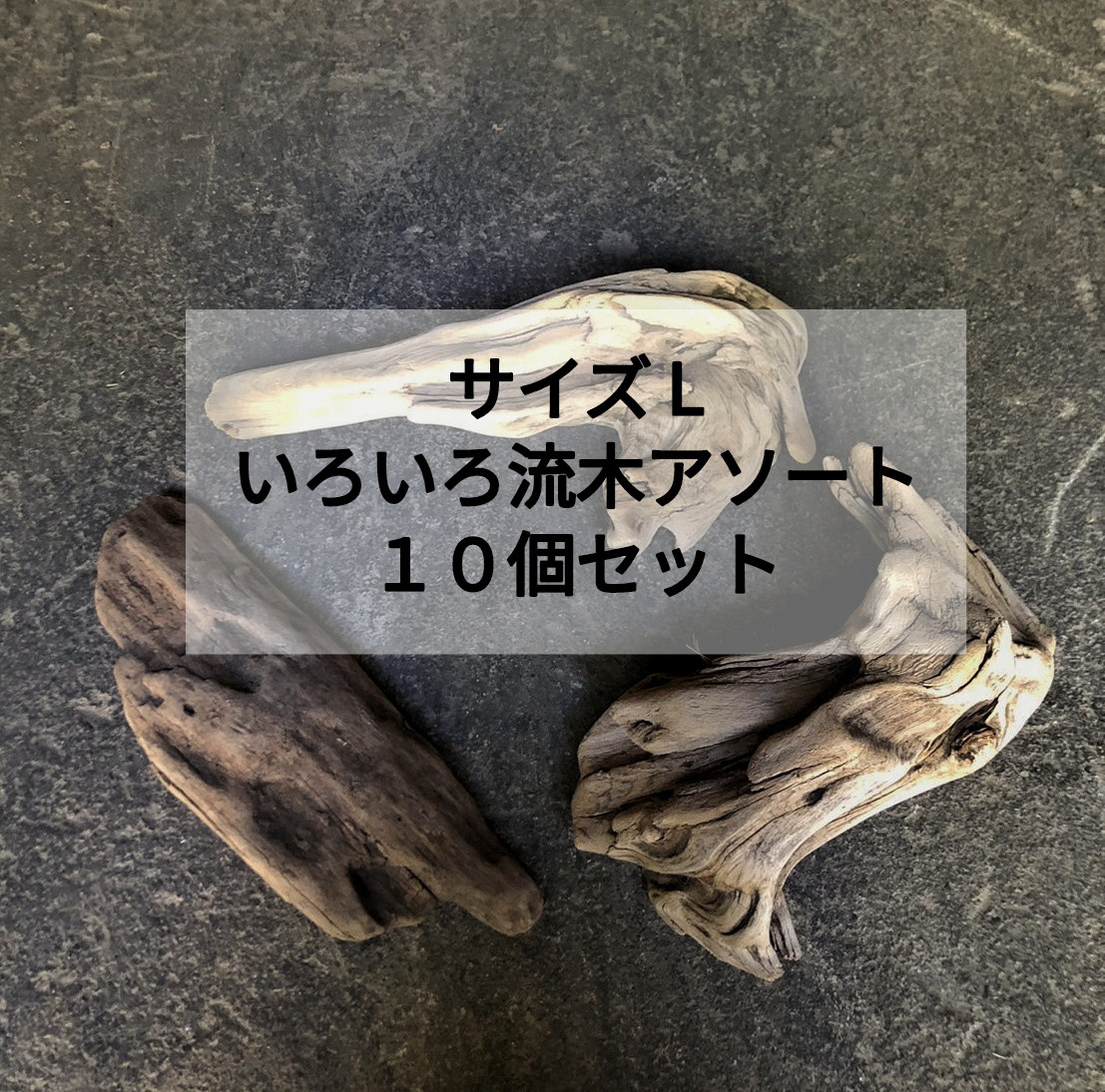 南信州産 天然流木【アソート１０個セット】 【サイズＬ】いろいろ流木 格安まとめ売り激安 ビカクシダ 多肉植物 着床 9,229円