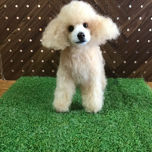 トイプードル（アプリコット）立ち姿 羊毛フェルト コーギー