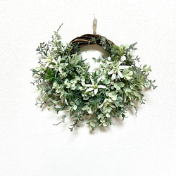 特大】ヒカゲノカズラのスワッグ スワッグ irodori0012 通販 11819224