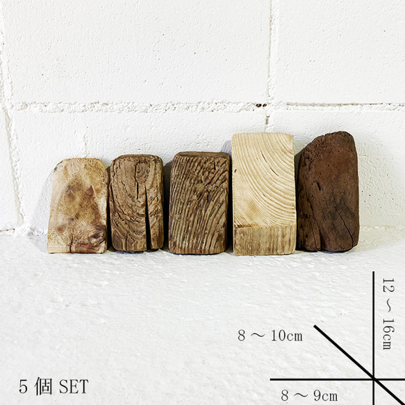 流木インテリア　(自作:加工済(ヤスリがけ)) 流木インテリア(自作:加工済(ヤスリがけ))