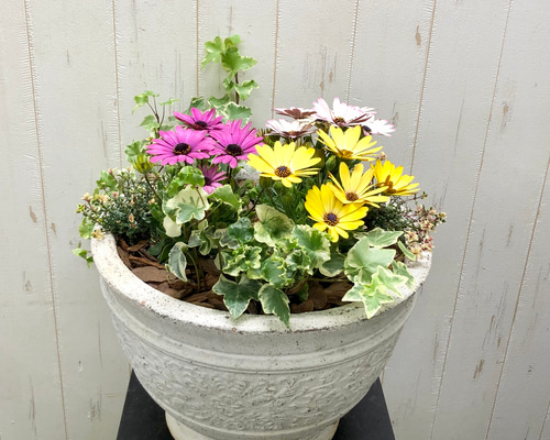 a87f868808f1bfc5b4751f377d3241