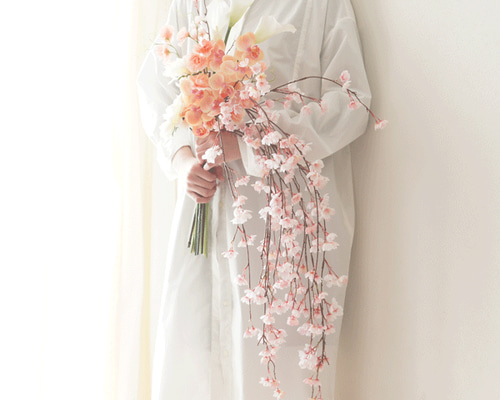 337b5ec6f540dcaaf0d9b7e3921ed4