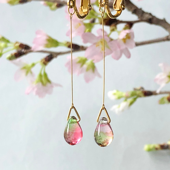 ひと粒の桜イヤリング/ピアス 1枚目の画像