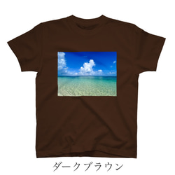 Live with Pride Tシャツ【選べる4色】 5枚目の画像