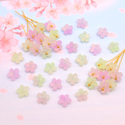 オリジナル変色パーツ★9mm桜のパーツ　アセテート　パープル×グリーン→ローズピンク×オレンジ 12枚目の画像