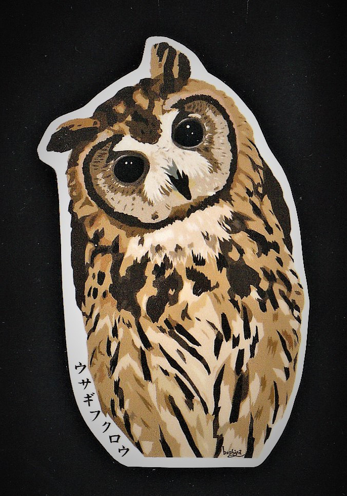 イラストオーダー＋ウサギフクロウミニ色紙